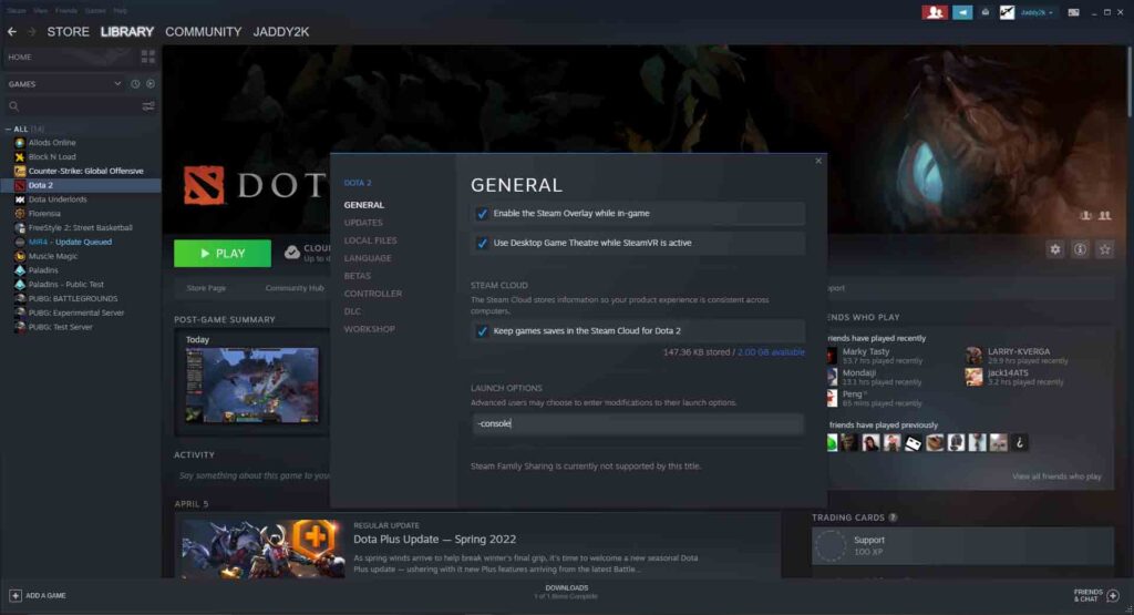 How to open console in dota 2